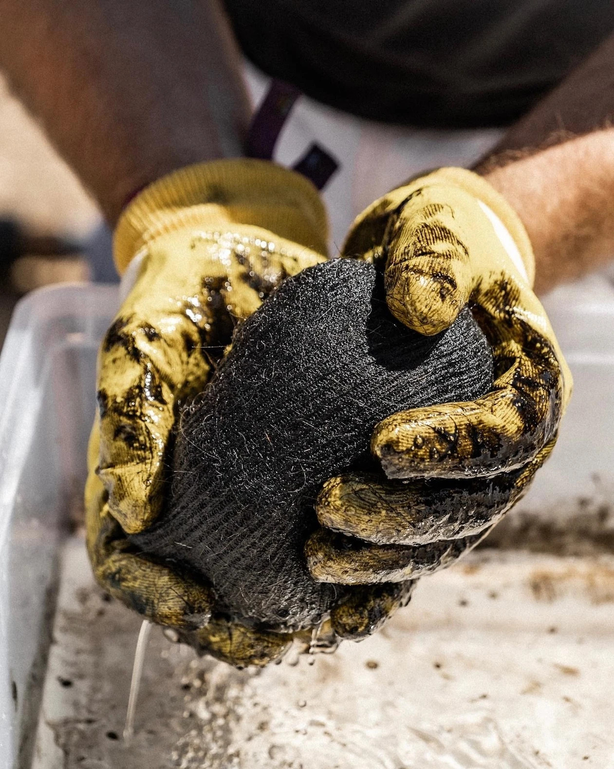 Boudin Capillum en action